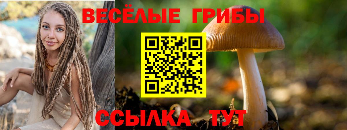 Галлюциногенные грибы прущие грибы Богданович