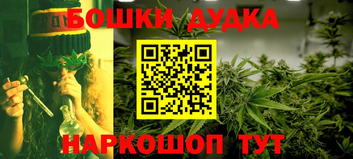Бошки Шишки сатива Богданович